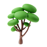 Shade tree seedlings for homes and institutions